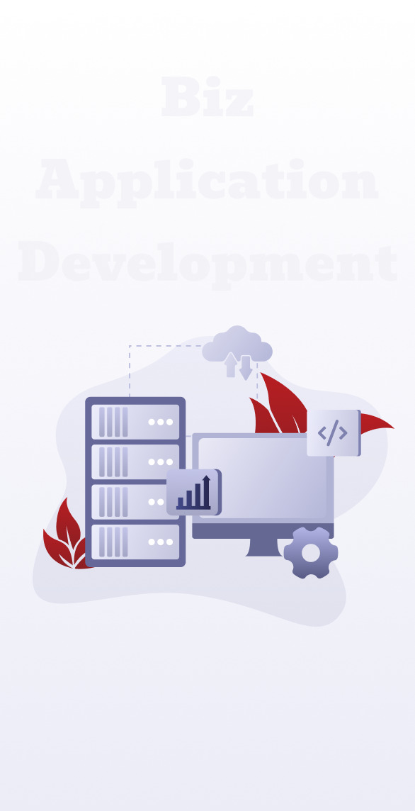 Biz Application Development